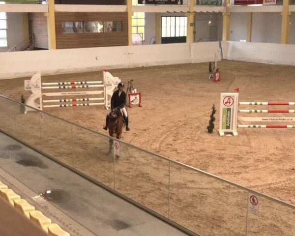 Reitturnier Stadl-Paura 2024
