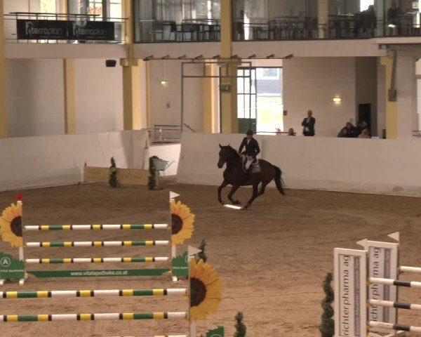 Reitturnier Stadl-Paura 2024