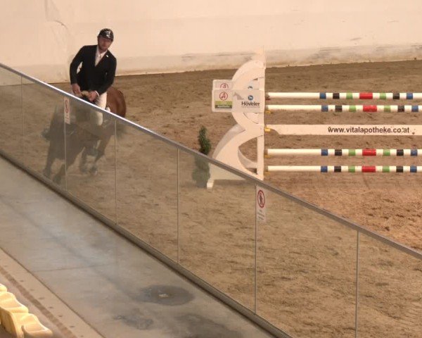 Reitturnier Stadl-Paura 2024