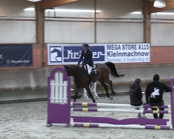 Reitturnier Tremsdorf, Eichenhof 2024