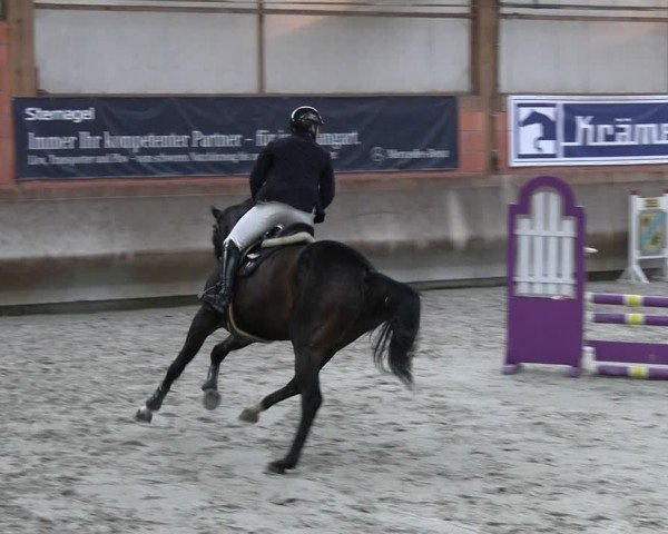 Reitturnier Tremsdorf, Eichenhof 2024