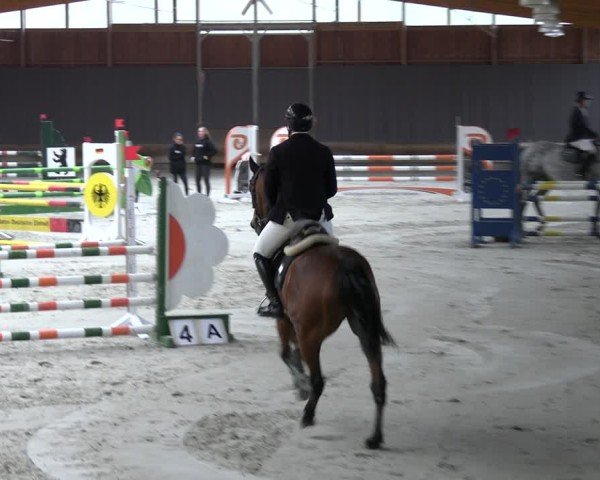 Reitturnier Tremsdorf, Eichenhof 2024