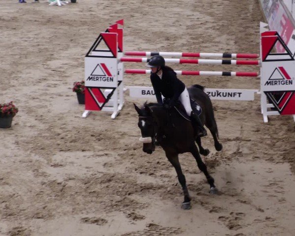 Reitturnier Neuwied 2024