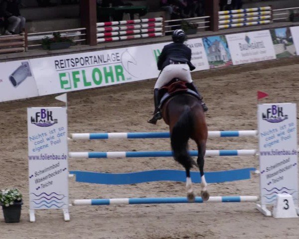 Reitturnier Neuwied 2024