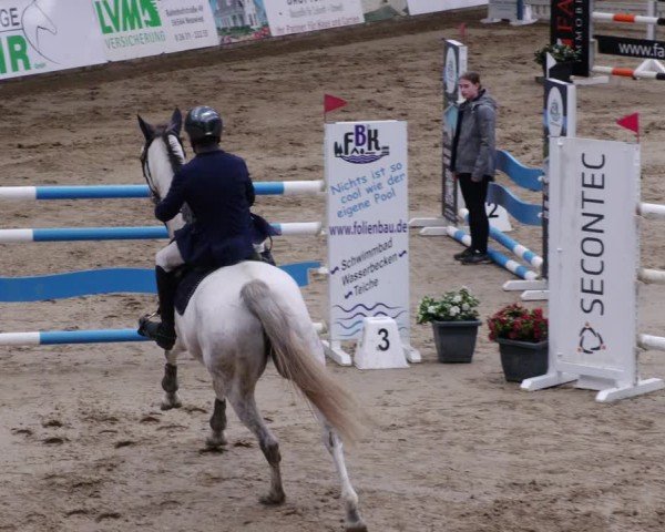 Reitturnier Neuwied 2024