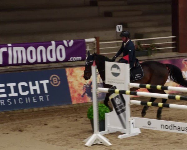 Reitturnier Neuwied 2024