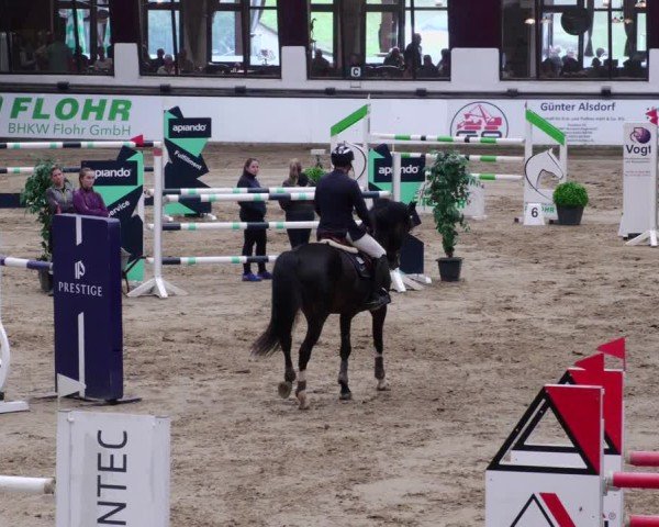 Reitturnier Neuwied 2024