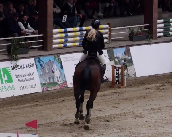 Reitturnier Neuwied 2024