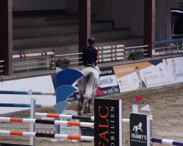 Reitturnier Neuwied 2024