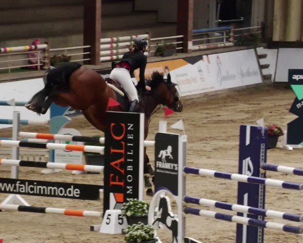 Reitturnier Neuwied 2024
