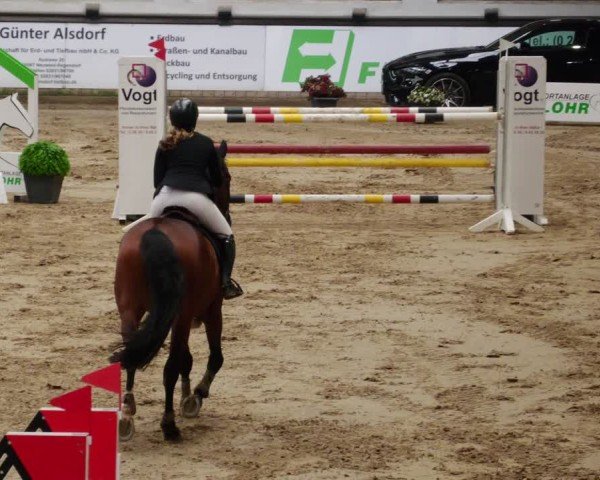 Reitturnier Neuwied 2024
