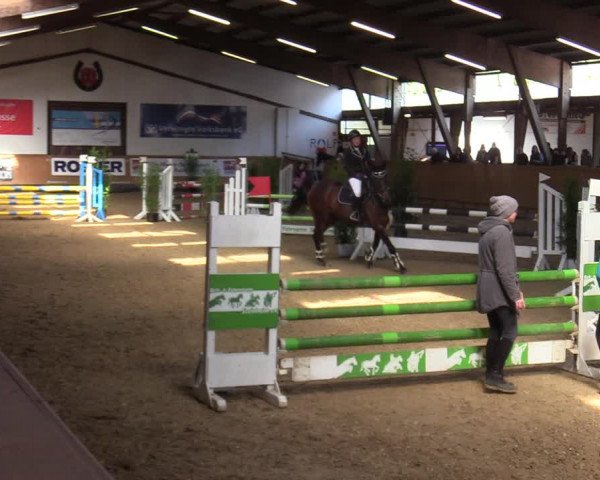 Reitturnier Steinheim 2021