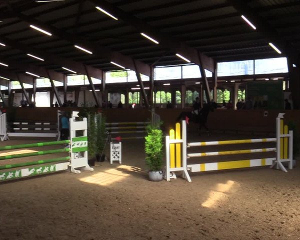 Reitturnier Steinheim 2021