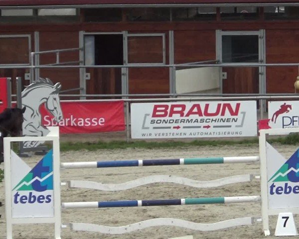 Reitturnier Achern 2024