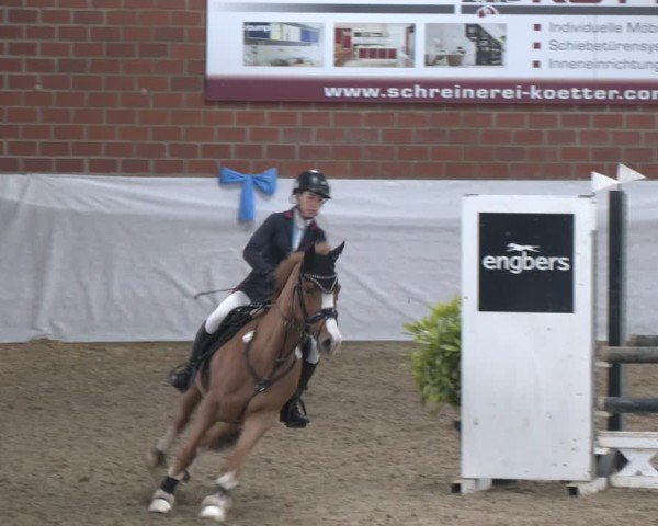Reitturnier Gronau 2024