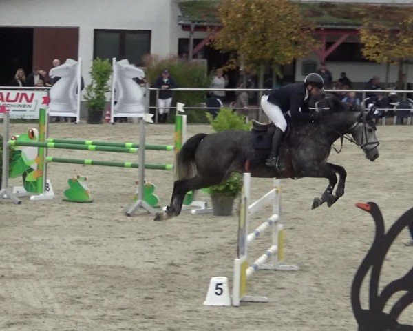 Reitturnier Achern 2024