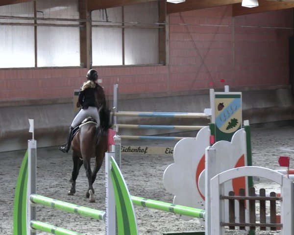 Reitturnier Tremsdorf, Eichenhof 2024