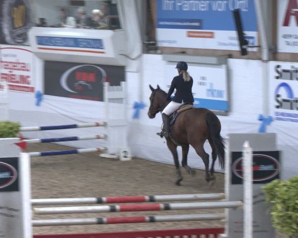 Reitturnier Gronau 2024