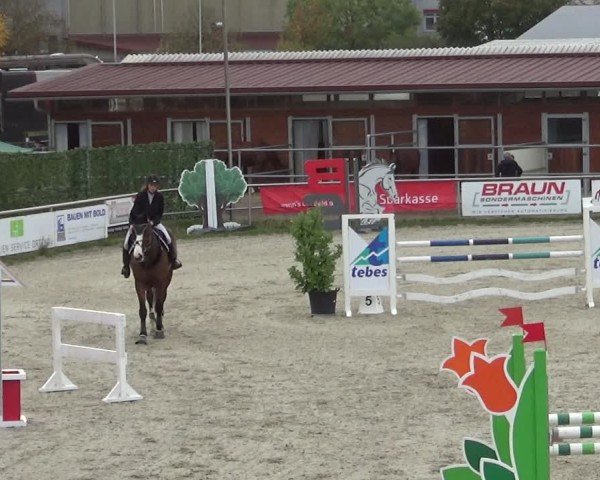 Reitturnier Achern 2024