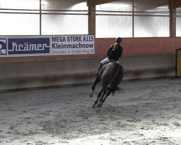 Reitturnier Tremsdorf, Eichenhof 2024