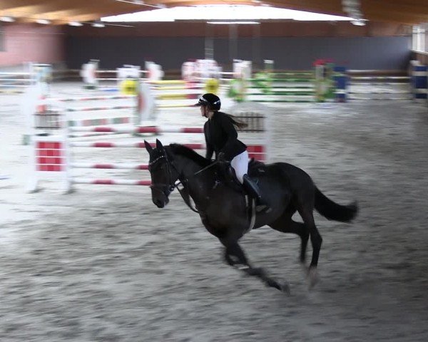 Reitturnier Tremsdorf, Eichenhof 2024