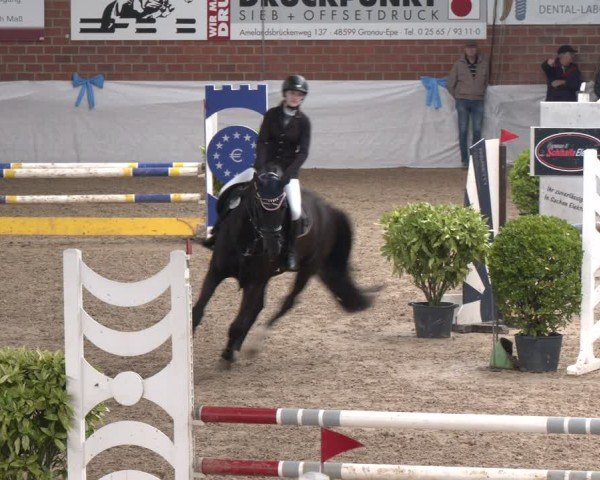Reitturnier Gronau 2024