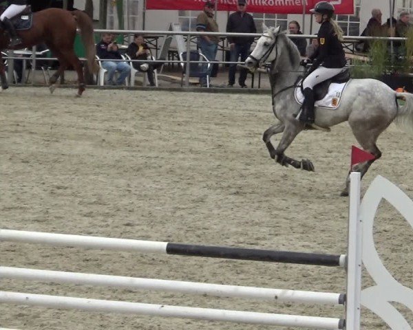 Reitturnier Achern 2024