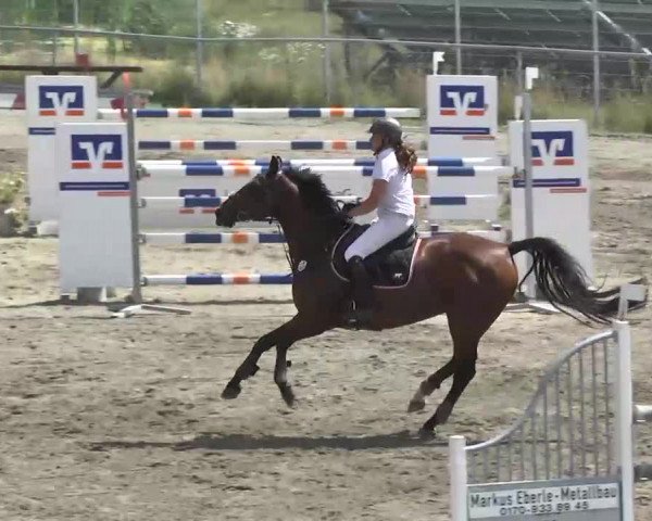 Leutkirch-Haid 2013