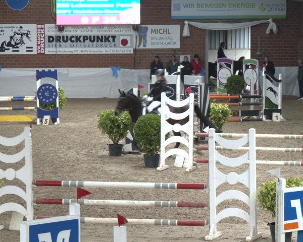 Reitturnier Gronau 2024