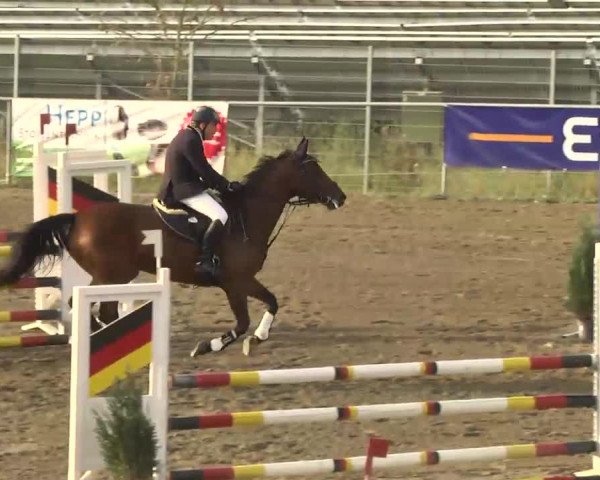 Leutkirch-Haid 2013