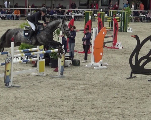 Reitturnier Achern 2024