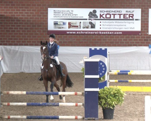 Reitturnier Gronau 2024