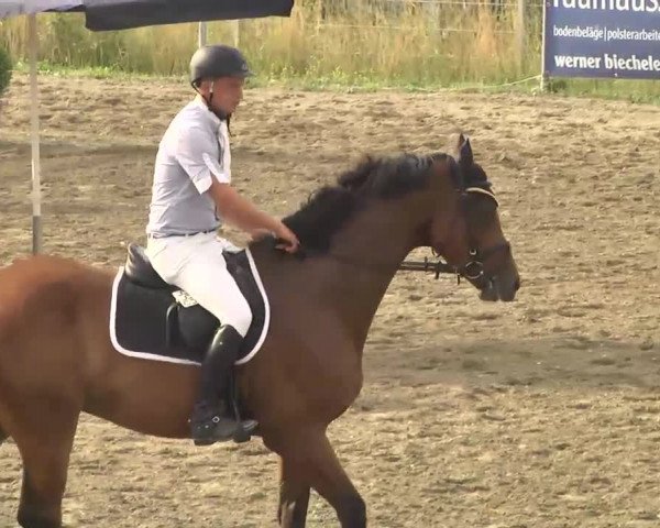 Leutkirch-Haid 2013