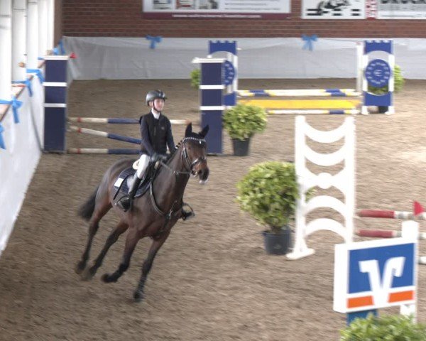 Reitturnier Gronau 2024