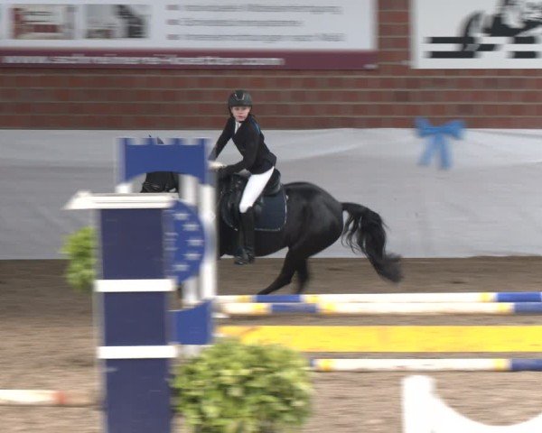 Reitturnier Gronau 2024