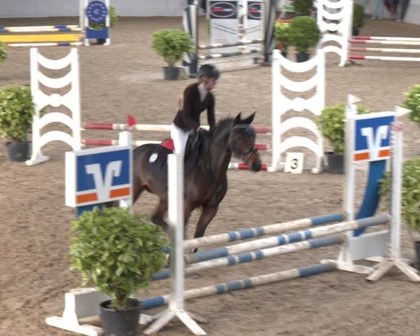 Reitturnier Gronau 2024