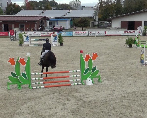 Reitturnier Achern 2024