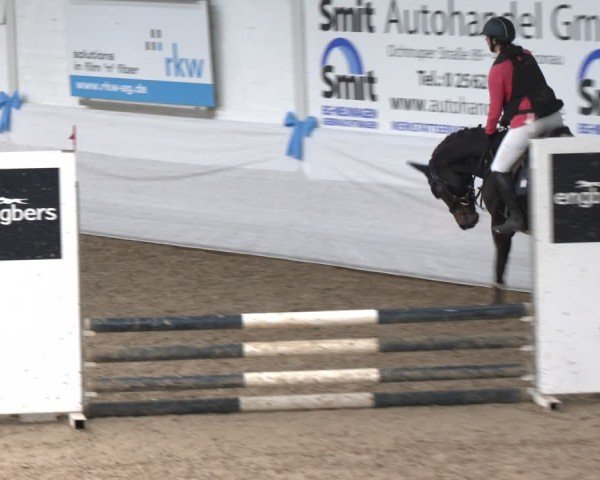 Reitturnier Gronau 2024