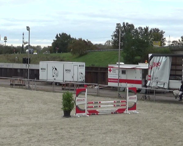 Reitturnier Achern 2024