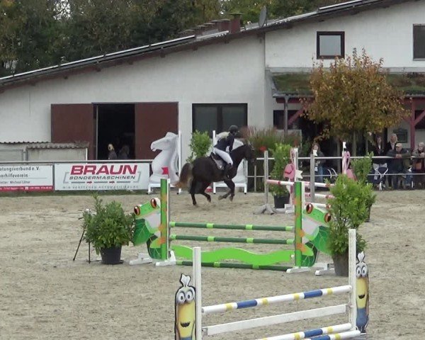 Reitturnier Achern 2024