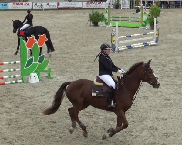 Reitturnier Achern 2024