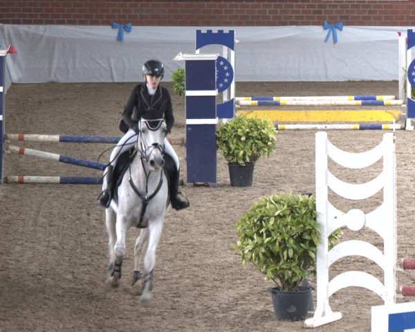 Reitturnier Gronau 2024