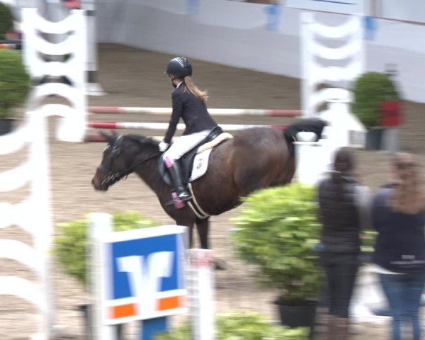 Reitturnier Gronau 2024