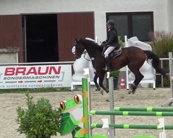 Reitturnier Achern 2024