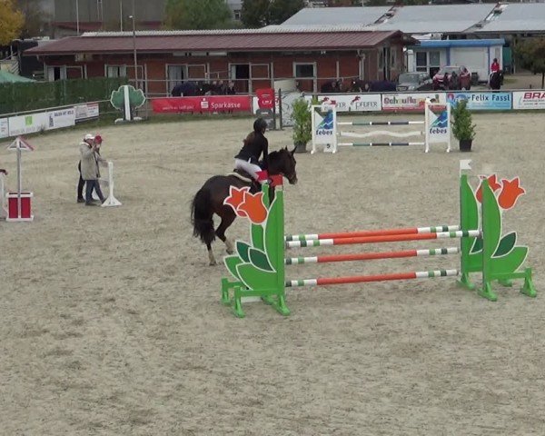 Reitturnier Achern 2024