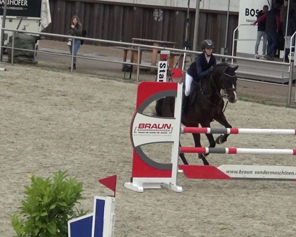 Reitturnier Achern 2024