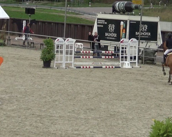 Reitturnier Achern 2024