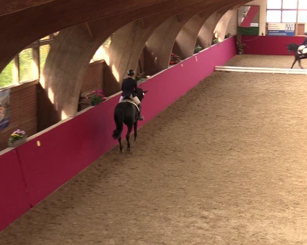 Reitturnier Krumke 2024