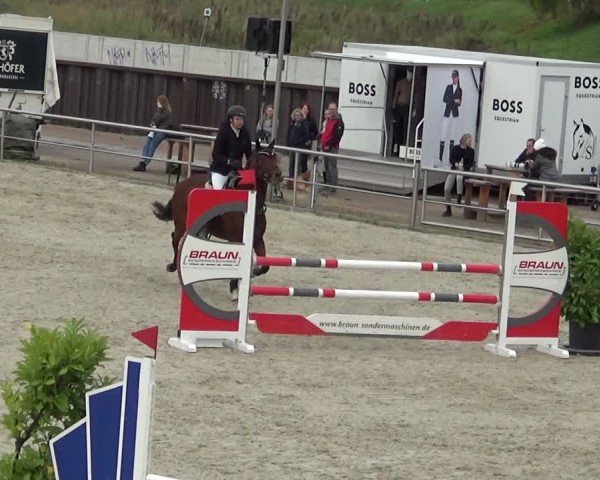 Reitturnier Achern 2024