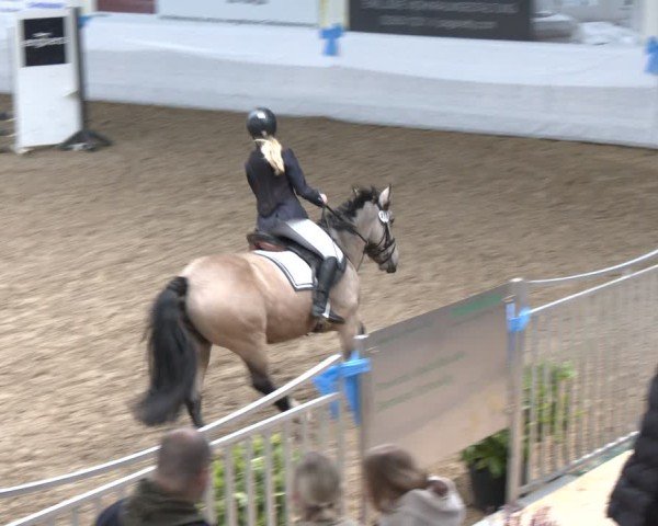 Reitturnier Gronau 2024